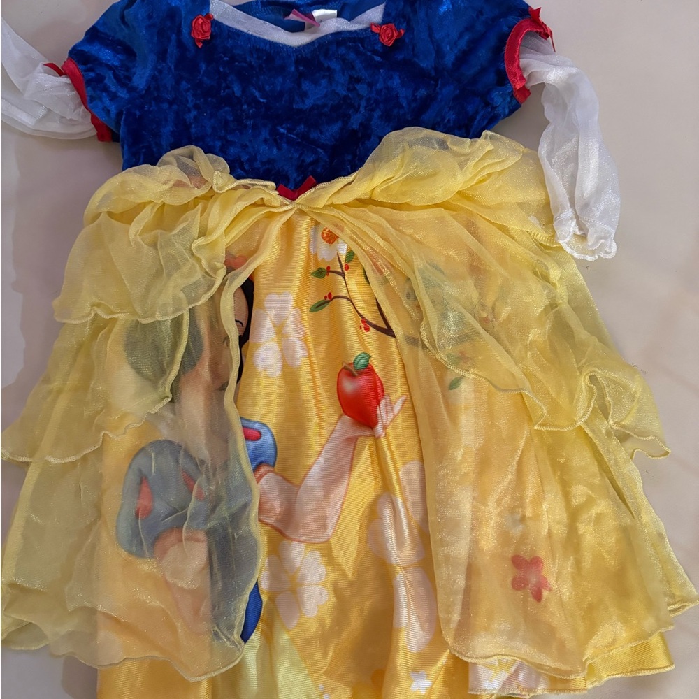 Disney Dress & Disney Hardcover Book with silver edges